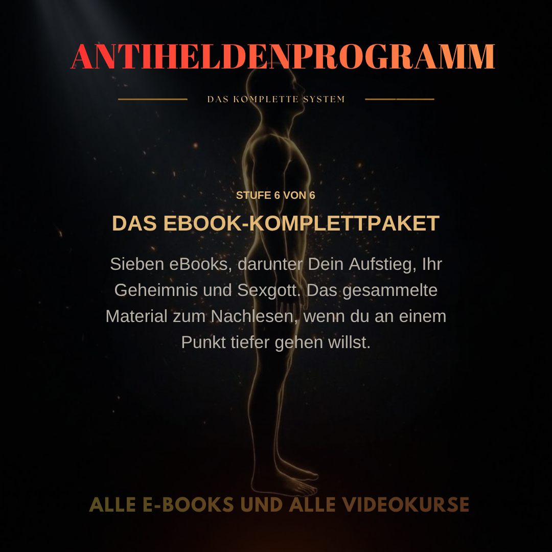 Antihelden Programm - Das Komplettsystem